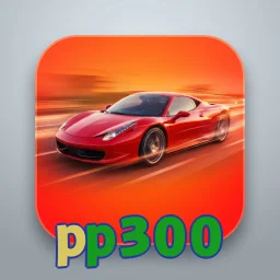 pp300